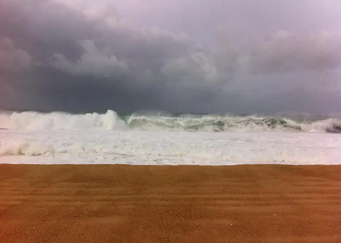 Serra Da Pescaria House - נאזרה