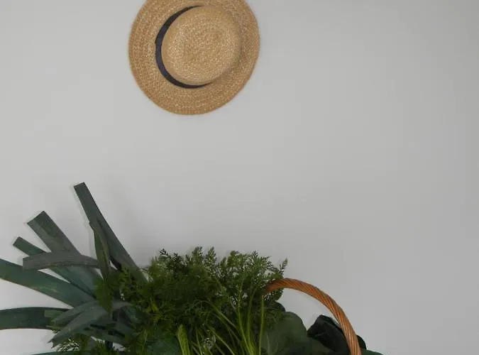 בית נופש Serra Da Pescaria House - נאזרה